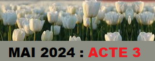 Mai 2024 acte 11