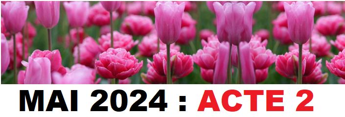 Mai 2024 acte 8